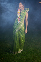 Chanderi silk green zari border saree